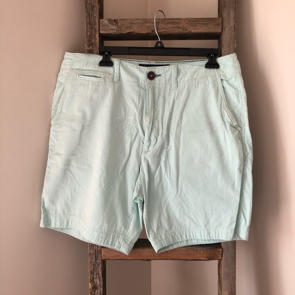 Mint Seersucker AEO Men’s Shorts - Picture 2 of 8